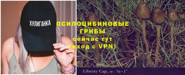 твердый Протвино