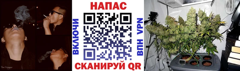 Марихуана Ganja  Каргополь 